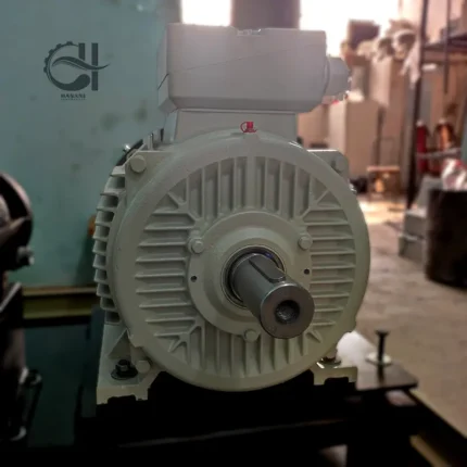 الکتروموتور(دینام) 30 کیلو وات (40 اسب بخار) ارسم گوانگلو (Ercem Gunglu)