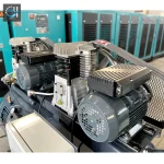 dual electromotor-dual piston
